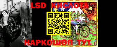 шишки Моздок