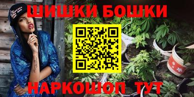 шишки Моздок