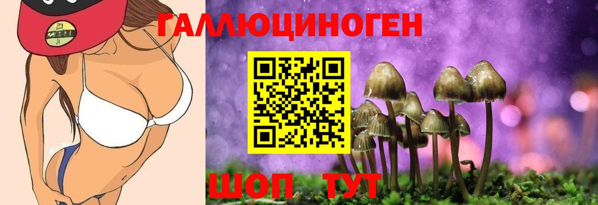 Вятские Поляны  Псилоцибиновые грибы Magic Shrooms  Галлюциногенные грибы Cubensis  Вход с VPN 